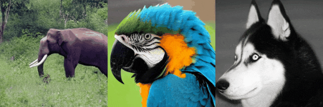 picture.image