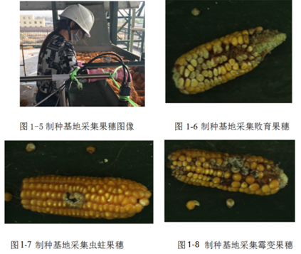 picture.image