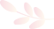picture.image