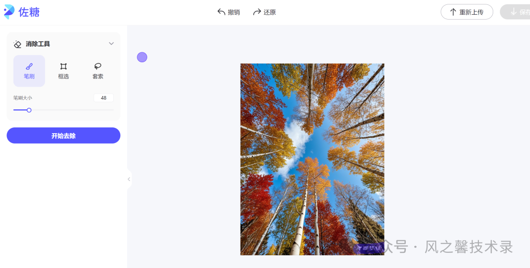 picture.image