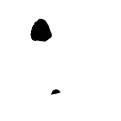 picture.image