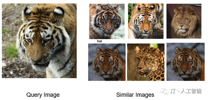 picture.image