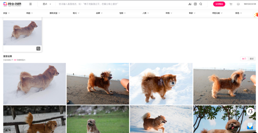 picture.image