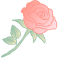 picture.image