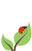 picture.image