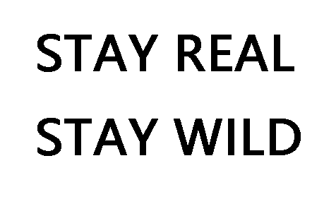 picture.image