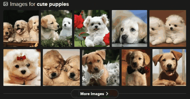 picture.image