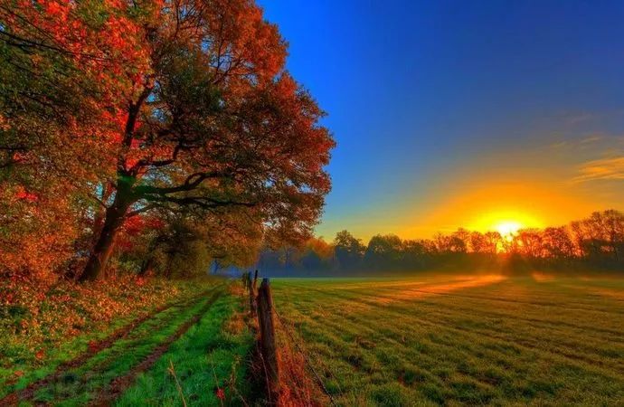 picture.image