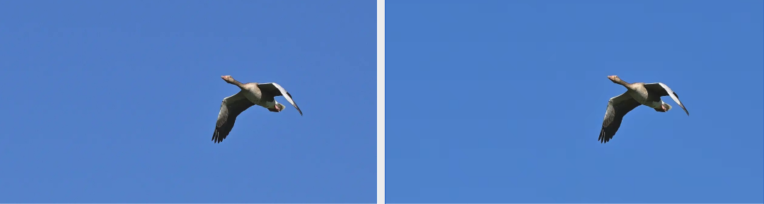 picture.image