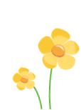 picture.image