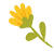 picture.image