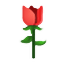 picture.image