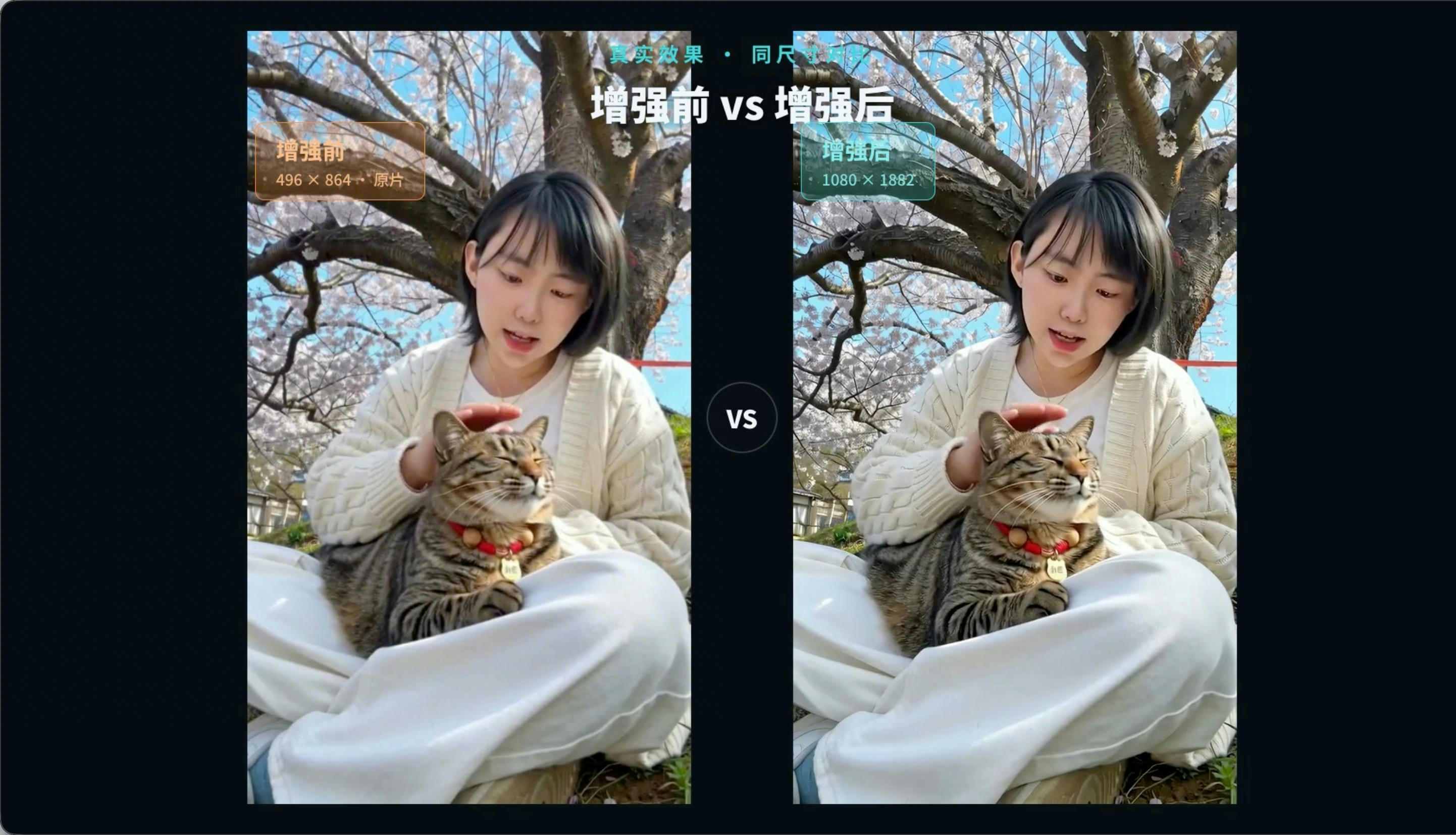 picture.image