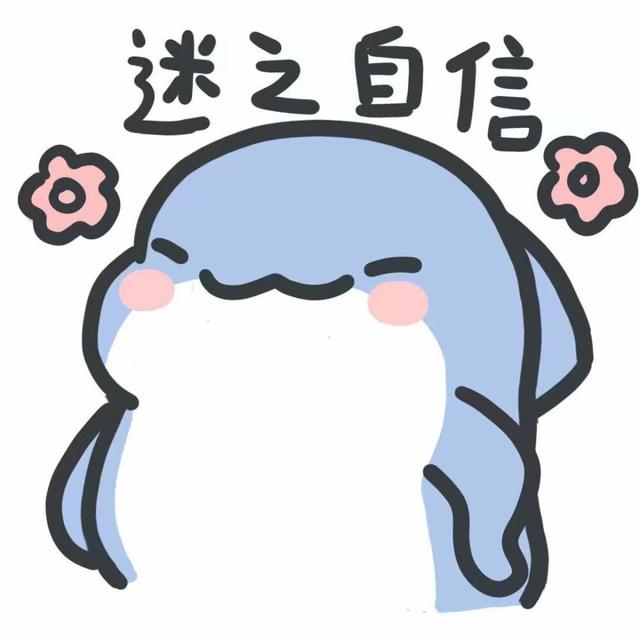 迷之自信.jpeg